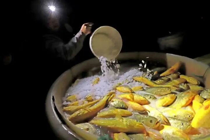 它赞助的台, 干啥的 它赞助的台, 干啥的