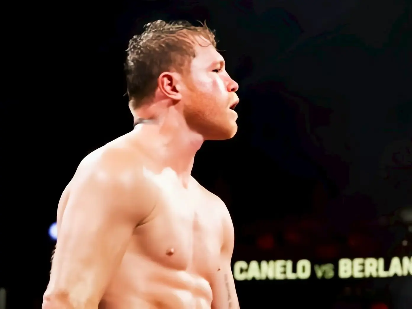 度更大, 现在的冠军, amp 度更大, 现在的冠军, amp